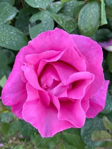 Apartamento Casa Palombella Cibottola